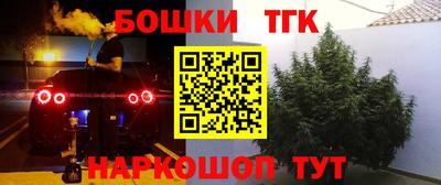 спиды Новокубанск