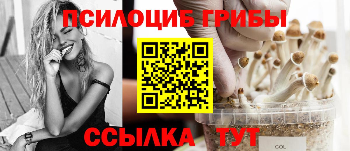 Галлюциногенные грибы GOLDEN TEACHER  Галлюциногенные грибы мухоморы  Сосновоборск  Вход с VPN 