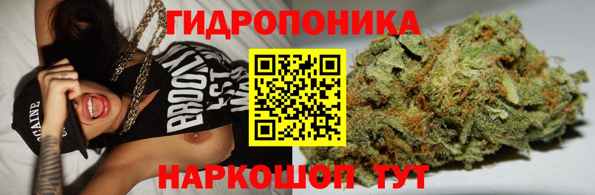 Конопля Ganja Сосновоборск